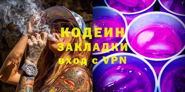 крисы Няндома