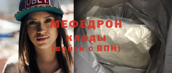 крисы Няндома