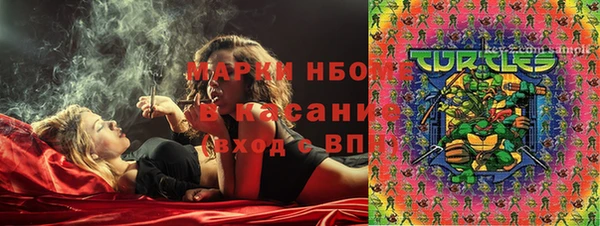 крисы Няндома