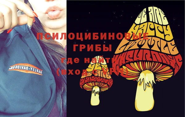 прущие крисы Березники