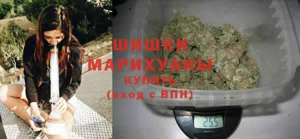 крисы Няндома
