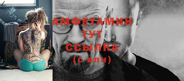 крисы Няндома