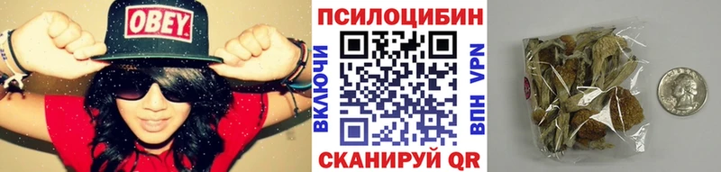 кракен   Тайга  Псилоцибиновые грибы GOLDEN TEACHER 